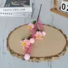 Cortes de Fruto de Papoula de Espuma Simulada Modelo de Planta Verde Adereços de Layout para Quarto de Casa Decoração de Hotel Hall de Hotel Quarto de Hóspedes