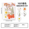 Flores Prensadas, Flores Secas en Resina, Materiales Florales Hechos a Mano para DIY, Materiales Didácticos de Plantas, Muestras de Flores Naturales Reales, Manualidades Hechas a Mano