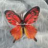 Flor artificial mariposa grande flor de zapato tapa de flor material para pasador de pelo decoración libro rojo pequeño explosiones flor de mariposa 3D