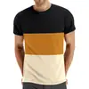 Amazon Verão Tamanho Plus Casual Gola Redonda Manga Curta Top Masculino Transfronteiriço Divisão de Cores Moda Masculina Fitness Esportes Camiseta