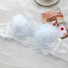 Conjunto de Lencería Lolita de Encaje con Cordones Estilo Japonés para Mujer, Delgado, Sin Aros, Pecho Pequeño, Push-Up, Anti-Caída