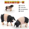 Porquinho Fofo Simulado, Gado, Porca, Modelo de Javali, Boneco Animal de Brinquedo, Presente Educacional de Plástico para Crianças