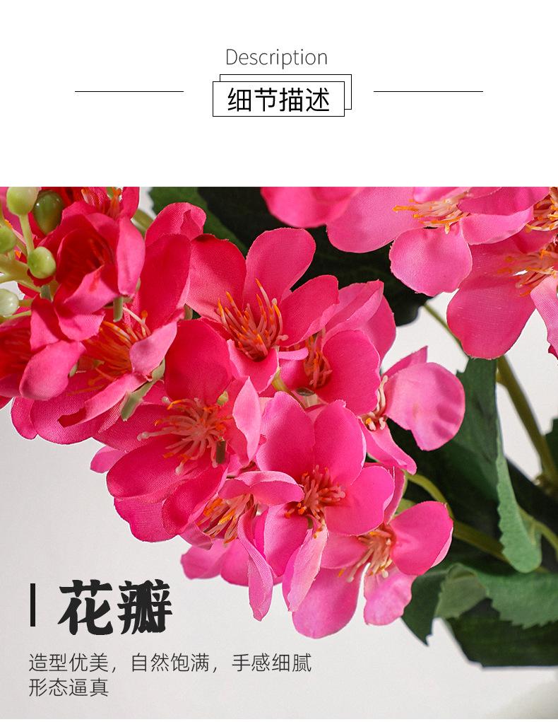 详情_08.jpg