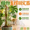 Haste de suporte, suporte para flores, suporte retrátil para galhos, suporte anti-tombo para plantas, dispositivo de fixação para plantas verdes, suporte para flores