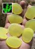 Blocos Luminosos em Formato Plano Jardim Aquário Pedras Brilhantes Transfronteiriças Folhas Finas de Fluorita Pedras Fluorescentes para Paisagismo Aquário Pedras Luminosas