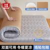 Colchón de Látex Cojín Dormitorio de Estudiante Individual 90X190Cm Invierno y Verano Doble Uso Tapete Tapete Tapete de Piso