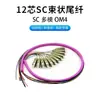 Yuwei Communication Cable de Fibra Óptica Pigtail de 12 Colores Bundle de Baja Pérdida, Puerto Cuadrado SC/UPC Monomodo de Grado Portador de 12 Hilos, Diámetro de 0.9mm