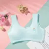 Ropa interior para niñas sin aros, ropa interior para estudiantes con almohadillas en el pecho, chaleco deportivo para niños, top tipo tubo anti-exposición, sujetador para etapa de desarrollo