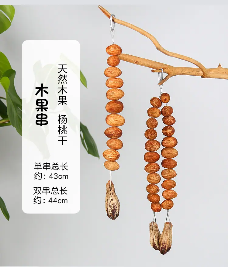 果实串子_06.jpg
