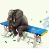 Banco Longo de Plástico ABS para Piscina, Academia, Banheiro, Vestiário, à Prova de Umidade, Espessado, Design Simples, Banco para Trocar de Sapato