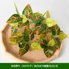 Ventas directas del fabricante: Decoración de pared de planta de césped artificial persa, plantas verdes de hoja perenne, manojos pequeños para decoración de proyectos, plantas verdes artificiales