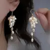 Moda Versátil Estilo Fresco Pastoral Europeo y Americano Gancho para Oreja con Borla Larga Racimo de Uvas Diseño de Personalidad Pendientes de Gama Alta