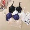 Comércio Transfronteiriço Mais Vendido Top Tubo Sem Costas com Renda de Girassol e Bojos, Camisola Slim Fit Modeladora Sem Costura