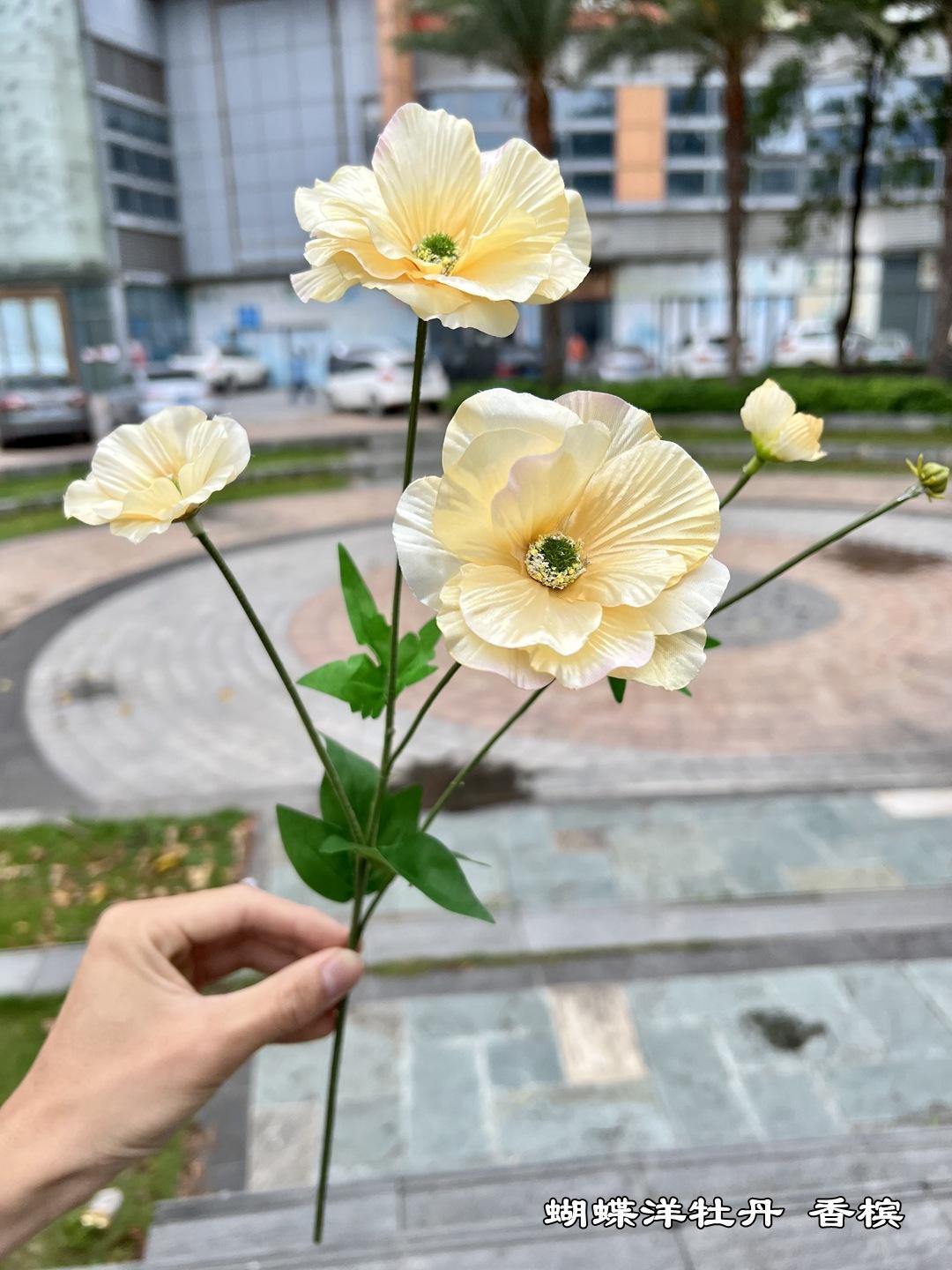 微信图片_20220419092324.jpg