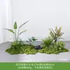 Plantas Verdes Artificiales al por Mayor Paisajismo Interior Plantas Falsas de Gama Alta Decoración de Paisaje Grupos de Musgo Flores Biónicas Decoración Suave Luz