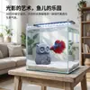 Cueva escondite decoración acuario, casa escondite para peces pequeños, micro paisajismo de búho para acuarios, cría de peces y camarones