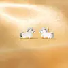 Aretes Rotatorios de Pequeño Pony con Aguja de Plata 925 para Mujer, Delicados y Pequeños, Aretes del Año Zodiacal
