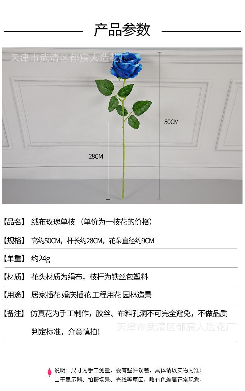 详情_01.jpg