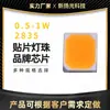 Tiras de LED SMD 2835 para Direccionales LED de Coche al por Mayor 0.2-1W Luces Profesionales para Coche Luces LED de Potencia Media al por Mayor