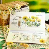 Día Hermoso Calcomanía de Concha para Luz Bolsa de PET Serie Pacto del Diente de León Material de Decoración DIY para Diario Collage