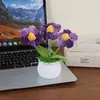 Planta en Maceta Pomposa Terminada Tejida a Mano Decoración del Hogar Flores Artificiales Tejidas Ramo de Flores Tejidas a Crochet Regalo Transfronterizo