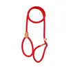 Corda-P para cachorro cor de macaron, corda redonda de PP durável, guia de treinamento para cães, guia de passeio para animais de estimação com corrente P integrada, em estoque