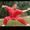 Roupas de Artes Marciais, Roupas de Tai Chi, Roupas de Treinamento, Tecido de Seda Artificial, Roupas Multicores para Performance Infantil, Mangas Longas Estilo Chinês