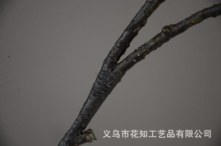 2-11黄色欧罗梨子.JPG