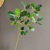 Película de Hoja de Planta Verde Simulada, Hoja de Orquídea, Hoja de Campana Japonesa, Hoja de Múltiples Pétalos, Accesorios para Arreglos Florales de Boda y Hogar Transfronterizos