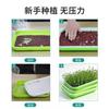 Plato de plántulas de plástico para el hogar, maceta para germinación de brotes de soja, cultivo sin suelo en balcón, maceta para plántulas de trigo y hortalizas.
