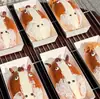 Caja de Empaque de Moda Estilo Influencer de Vaca y Caballo, Caja Cuadrada Transparente de Tapa Alta para Pan Crema, Caja Desechable para Llevar de Postres para Hornear