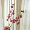 12 Calabazas Brasileñas de Tallo Único Artificiales Flores al por Mayor para Decoración de Bodas Manualidades Estilo Ins Flores Falsas