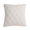 Almohada de Peluche Unilateral de Otoño e Invierno de Amazon Transfronterizo, Cojín Cuadrado Tridimensional de Terciopelo de Partículas, Funda de Almohada Linda y Suave