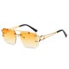 Populares Gafas de Sol Cuadradas Sin Montura de Doble Varilla para Hombre, Gafas de Sol de Moda con Estampado de Leopardo de Estilo Europeo y Americano para Mujer