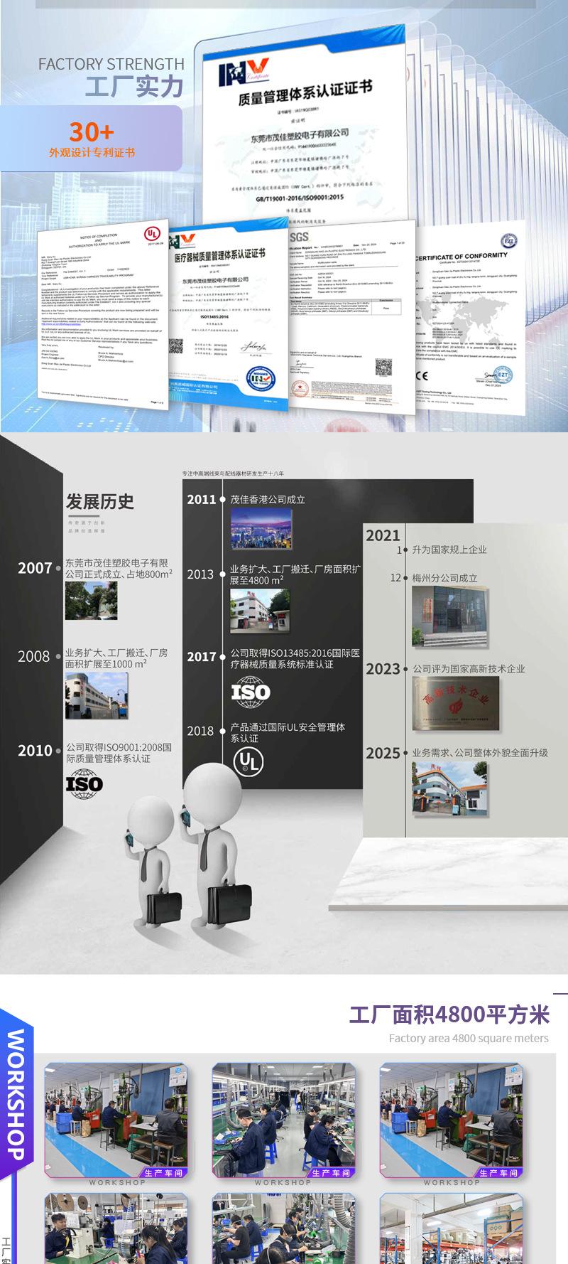 公司详情（中英双版）_03