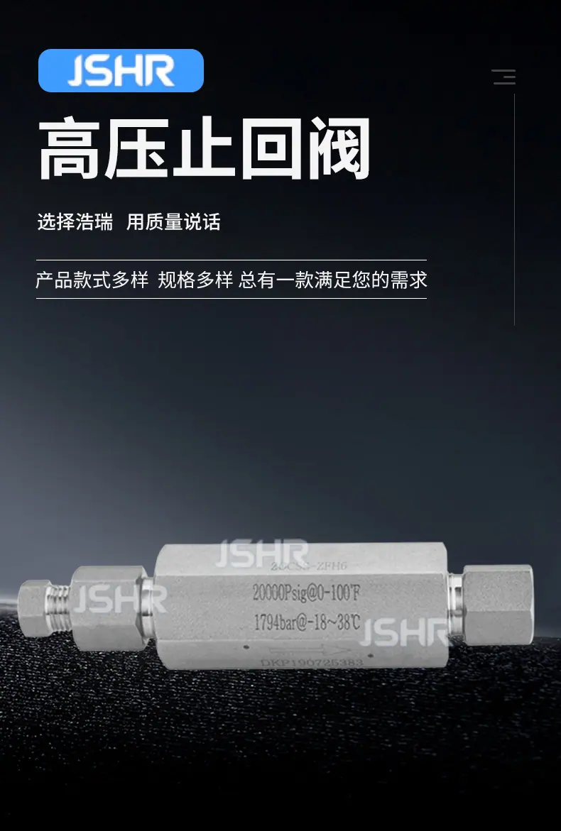 高压止回阀详情_02.jpg