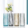 Jarrón de cristal de estilo nórdico, diseño de celebridades de Internet, transparente, estilo hidropónico, flores secas, lirios, arreglo floral, decoración de escritorio y sala de estar.