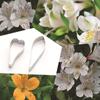 Molde Cortador de Flores de Aço Inoxidável para Flores de Açúcar Britânicas DIY Ferramenta de Decoração de Bolo com Formato Reverso A396
