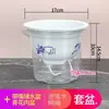 Maceta autorriego Potos maceta automática perezosa que absorbe agua maceta transparente plástico maceta especial para Potos venta al por mayor