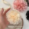 Colar Advanced Sense Rose Colar de flor de camélia Clavícula Gargantilha Pescoço Jóias Novo Estilo Internet Celebrant Collar para Mulheres