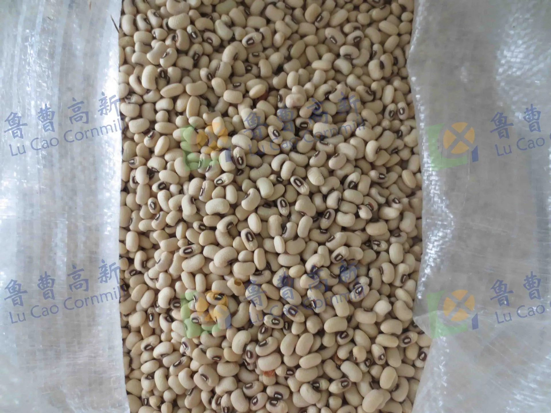 进口豇豆脱皮前
