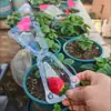 Saco Protetor Plástico Profissional Anti-Pássaros e Anti-Insetos para Morangos, uma Casca Protetora Abrangente para o Cultivo de Morangos, Essencial para Pomares