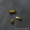 Ámbar Cera de Abeja Amarillo Pollo Hebilla de Collar Polvo Presión Hebilla de Pulsera Tensor Conector Accesorios de Joyería Marfil Venta al por Mayor