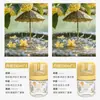 Novo Modelo para Entrega: Zhumeng Casa Celebridade da Internet Sem Fogo Líquido Refil de Aromaterapia para Quarto de Menina Fragrância Gaiola de Pássaro Pequeno Perfume