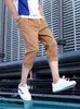 Comércio Transfronteiriço Calça Jogger Masculina de Verão Fina de Caimento Solto Tendência Simples Cor Sólida Casual Shorts 7/8