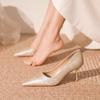 Zapatos de Abrigo de Moda y Versátiles con Tacones Finos para Combinar con Faldas, Zapatos de Tacón Alto para Mujer, Nuevo Modelo 2025, Color Champaña, Zapatos Elegantes de Estilo Femenino para Mujer