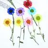Flores Secas com Galhos, Crisântemos e Margaridas Prensados, Kit de Material para Abajur de Mesa com Flores Prensadas, Marcador de Página de Flores Naturais, Espécime de Planta em Resina