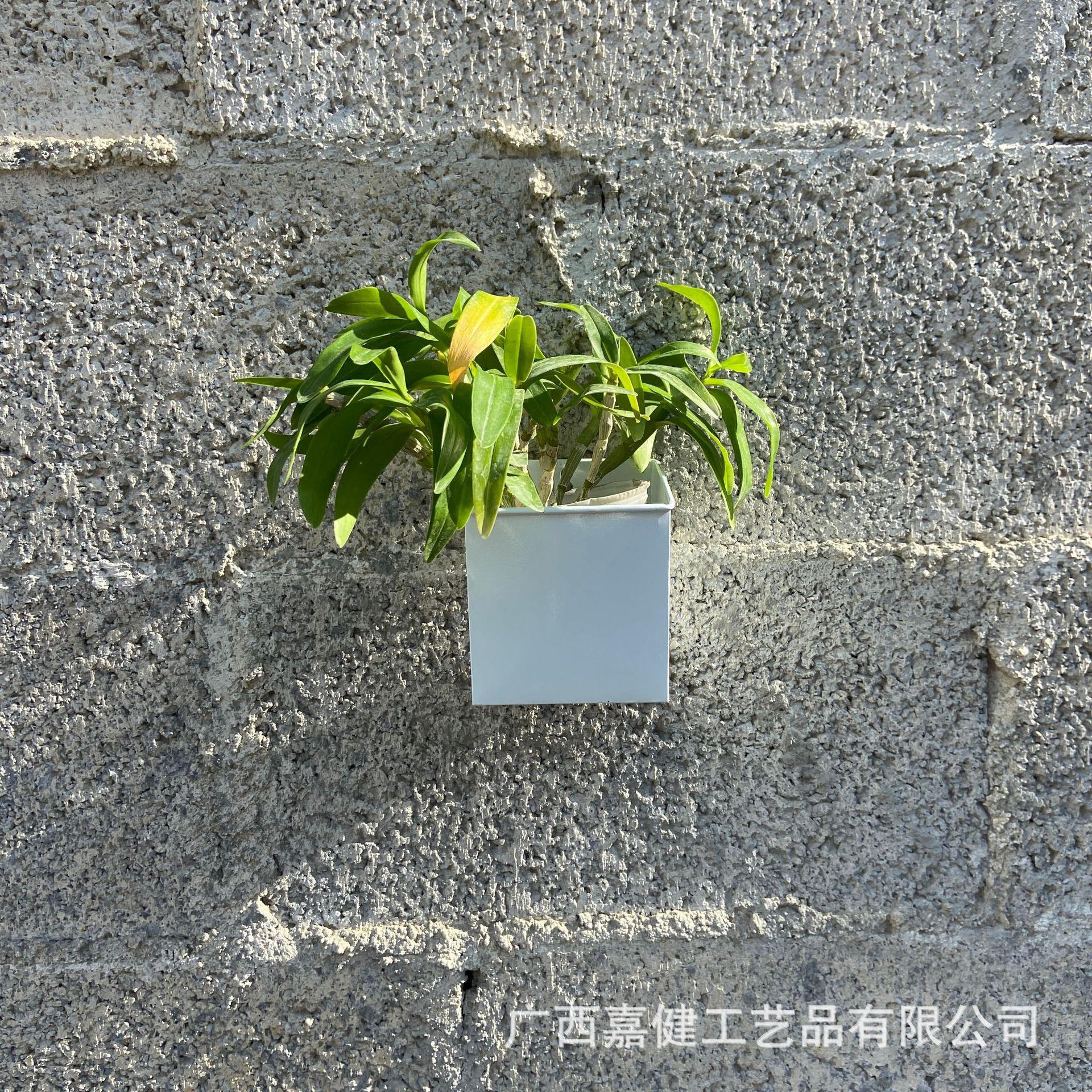 9白色.jpg