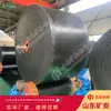 Alimentador de Carbón para Minería Anillo de Conformado Único Transportando Mineral Sinterizado y Coque Cinta Transportadora Resistente al Calor