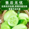 Pepino Fresco, Pepino Niña de Jade, Pepino Fruta, Pepino Fresco Sf del Tamaño de un Pulgar, Pepino Vegetal Blanco de Jade Seco del Noreste